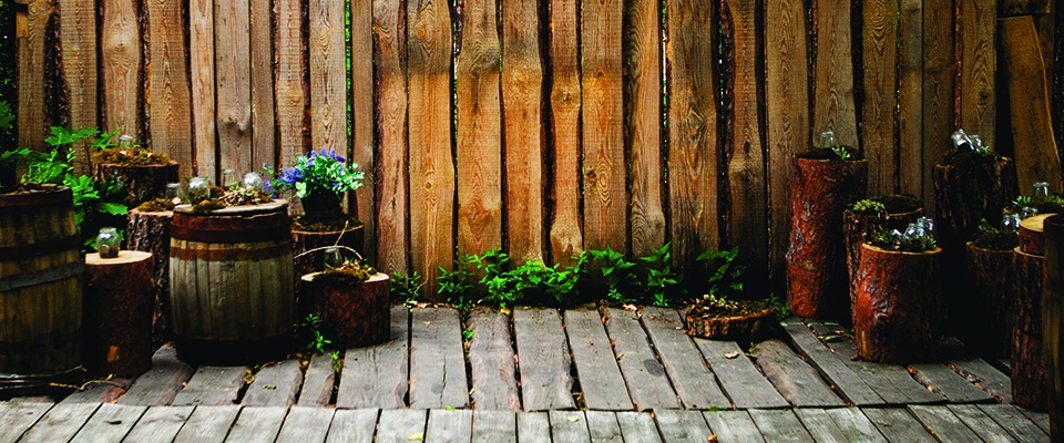 beautiful-outdoor-design-garden-exterior